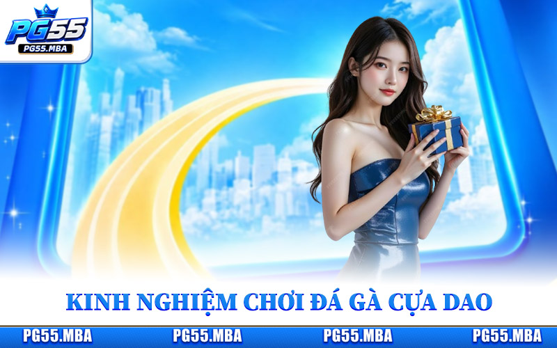 Kinh nghiệm chơi đá gà cựa dao hiệu quả từ hội viên lâu năm